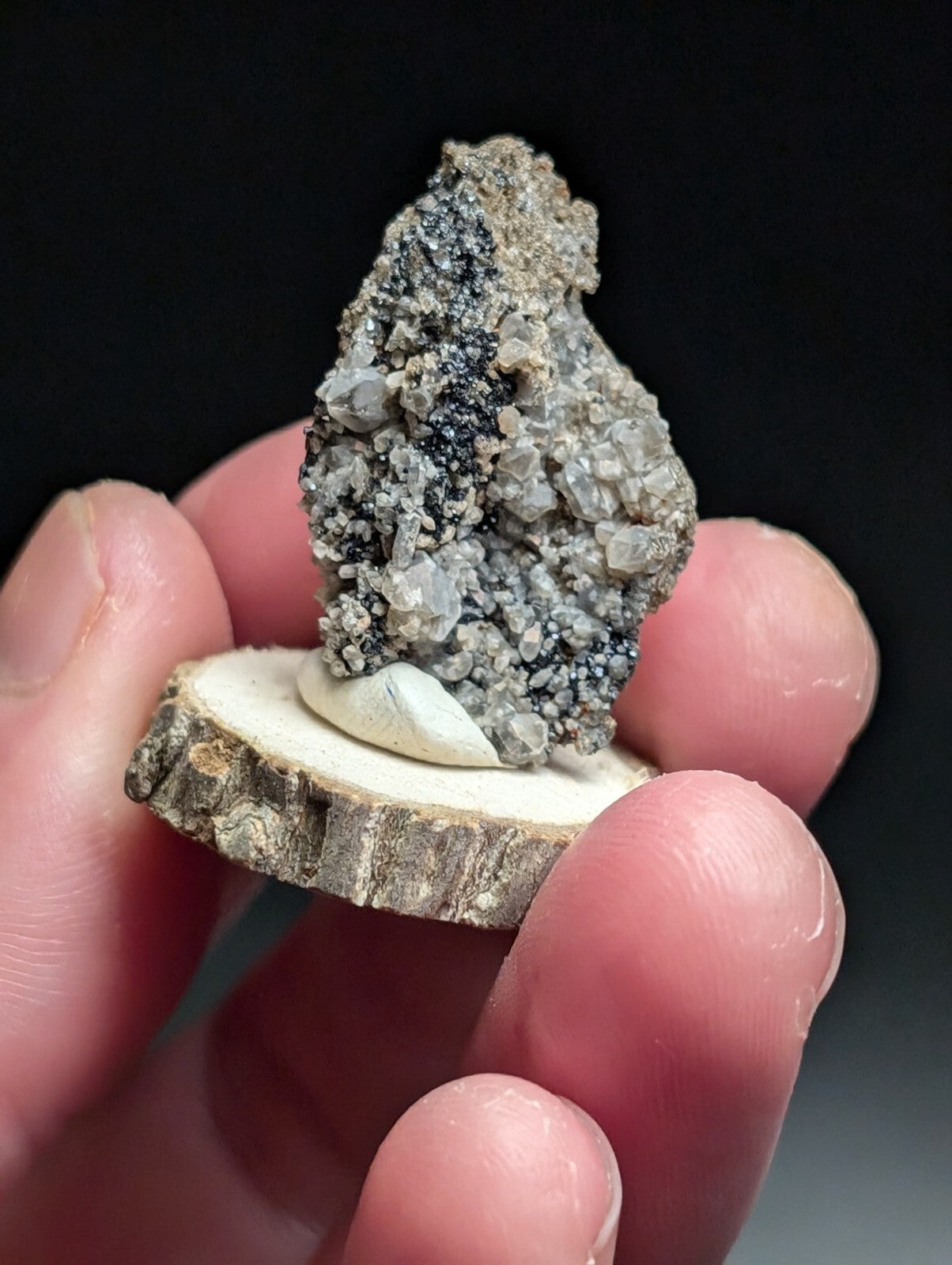 A gray and black mineral specimen with crystalline formations, displayed on a circular wooden slice base.