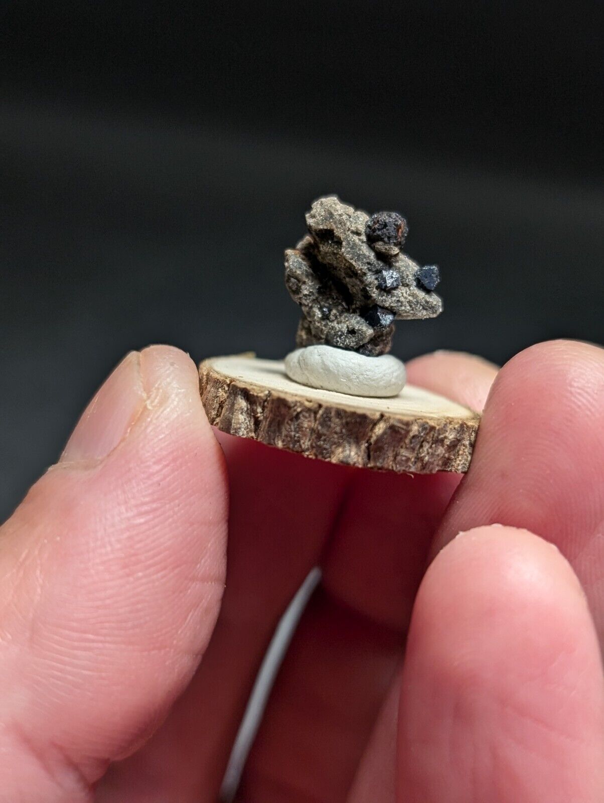 Brookite on Smoky Quartz Magnet Cove Arkansas USA Old Stock w/ wood display - Collectibles:Rocks Fossils &