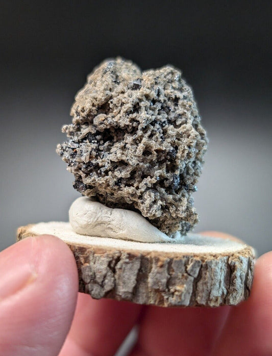 A textured, grayish-brown mineral specimen with dark speckles rests on a small, natural wood slice.