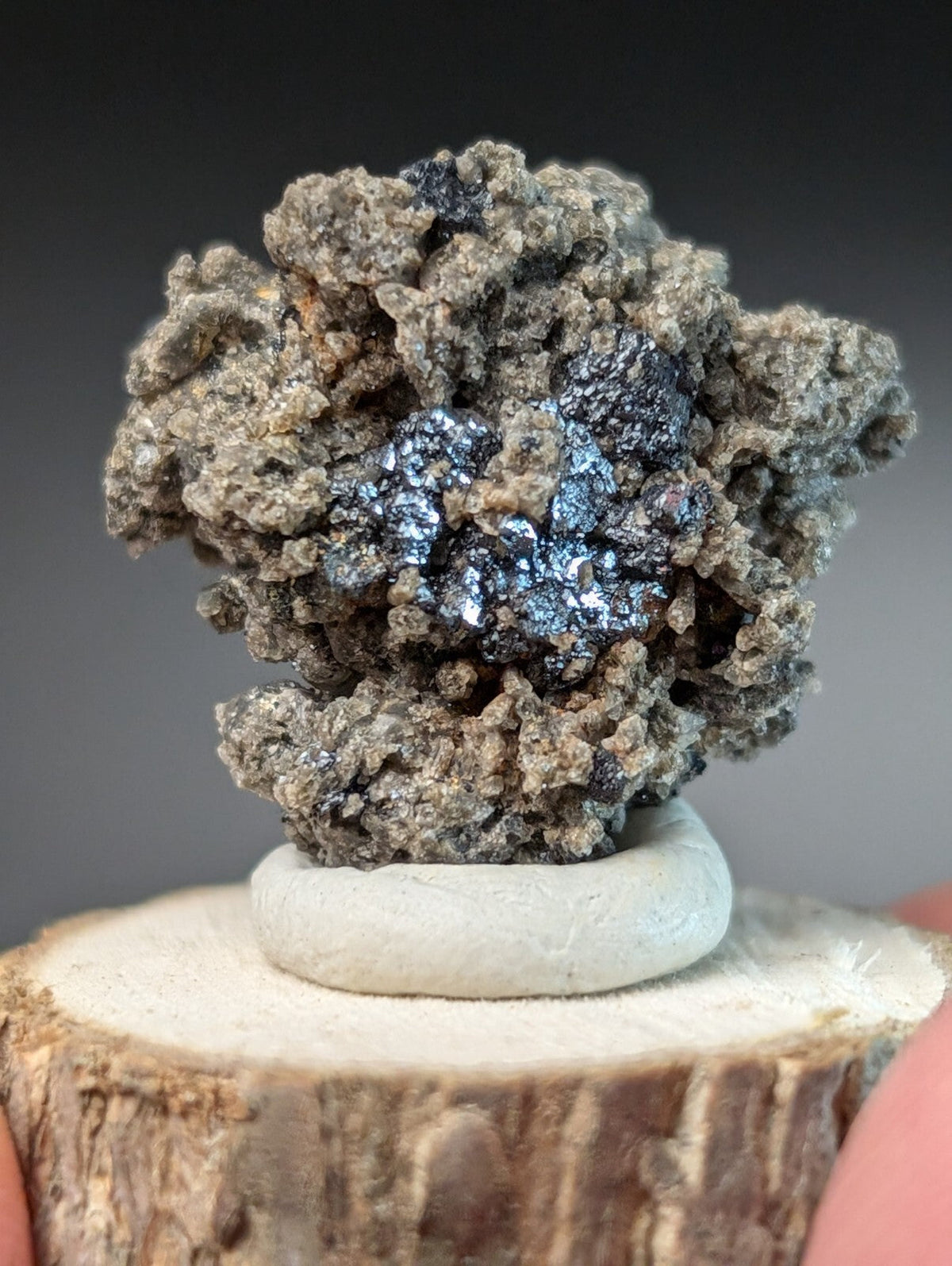 A striking mineral specimen featuring a textured, grayish matrix with vibrant metallic blue and black crystalline formations.