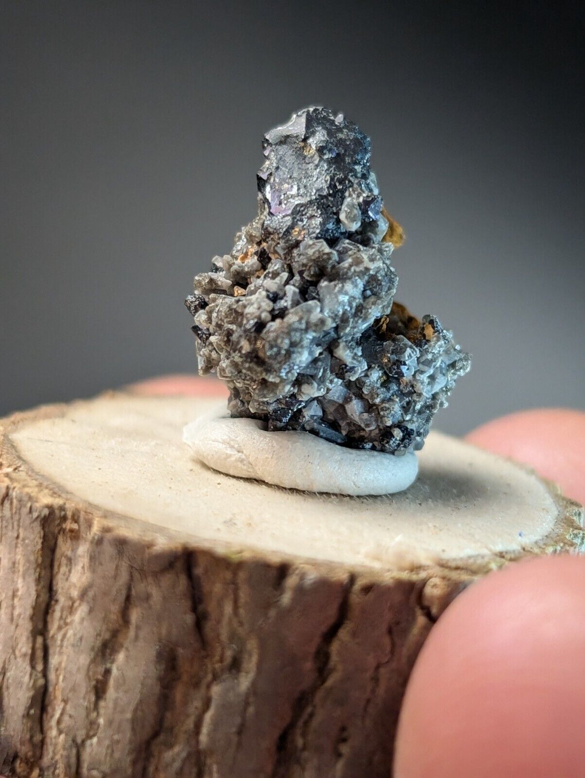 Brookite on Smoky Quartz Magnet Cove Arkansas USA Old Stock w/ wood display - Collectibles:Rocks Fossils &