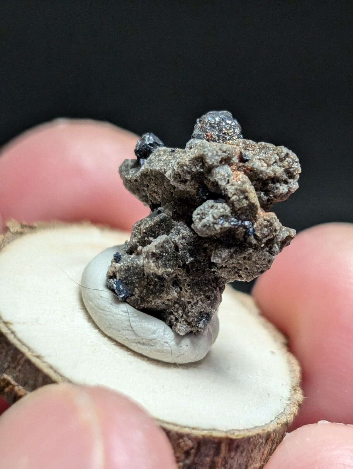 Brookite on Smoky Quartz Magnet Cove Arkansas USA Old Stock w/ wood display - Collectibles:Rocks Fossils &
