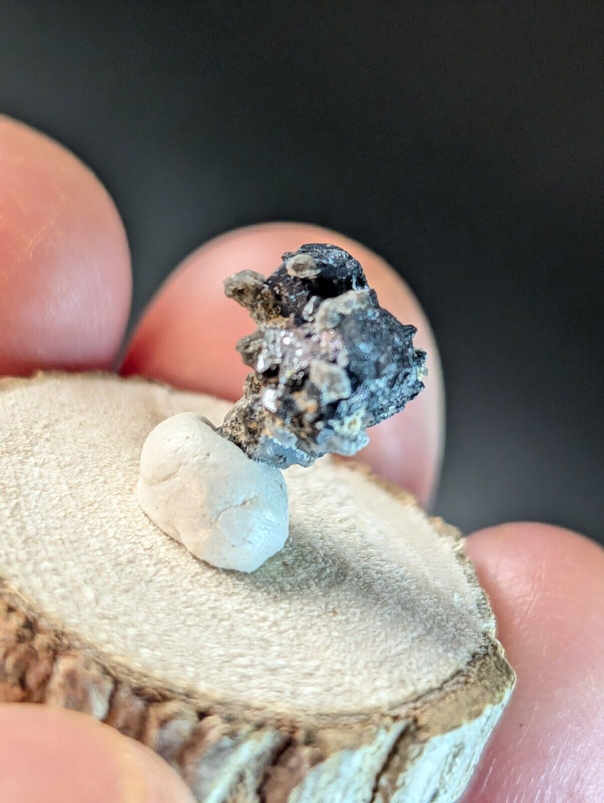 Brookite on Smoky Quartz Magnet Cove Arkansas USA Old Stock w/ wood display - Collectibles:Rocks Fossils &