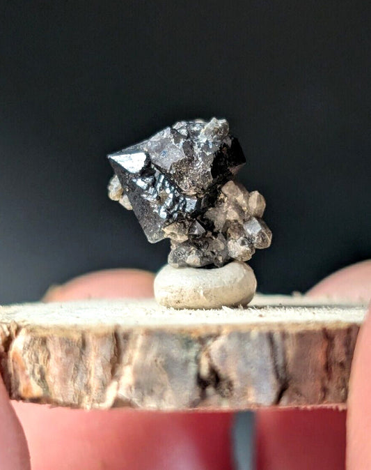 Brookite on Smoky Quartz Magnet Cove Arkansas USA Old Stock w/ wood display - Collectibles:Rocks Fossils &