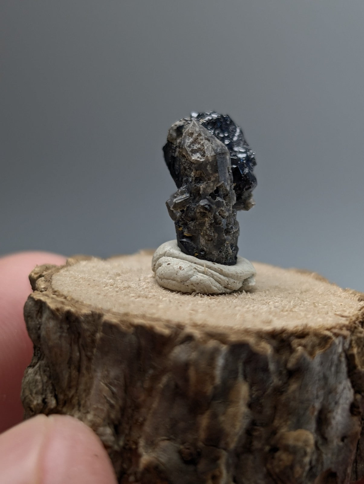A dark, rough-textured brookite on smoky quartz mineral on a light sculpted base with wood display from Magnet Cove Arkansas