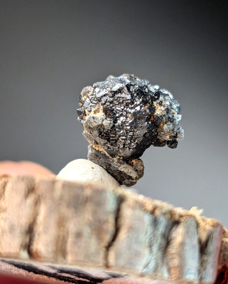 Brookite on Smoky Quartz Magnet Cove Arkansas USA Old Stock w/ wood display - Collectibles:Rocks Fossils &