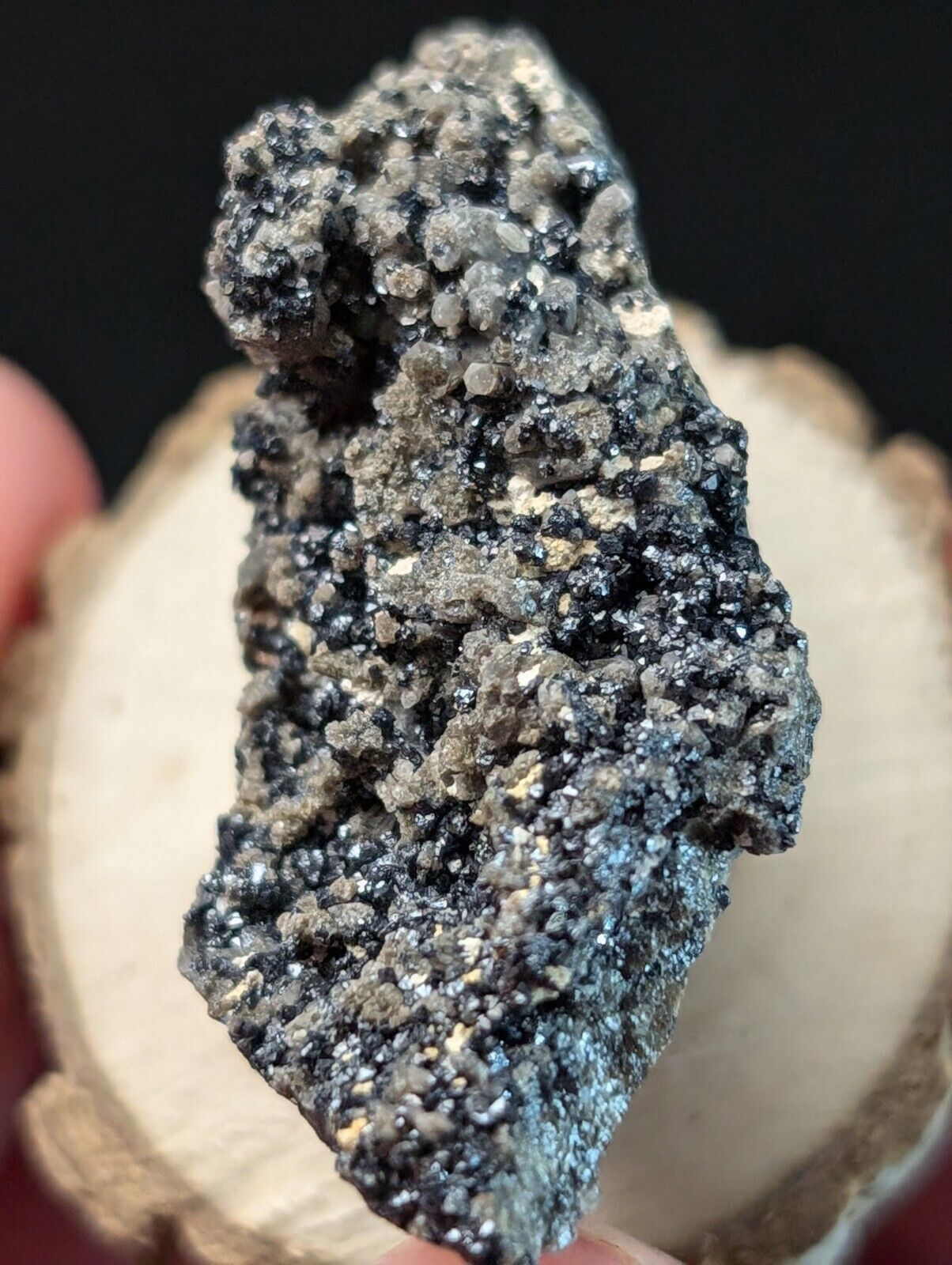 Brookite on Smoky Quartz Magnet Cove Arkansas USA Old Stock w/ wood display - Collectibles:Rocks Fossils &