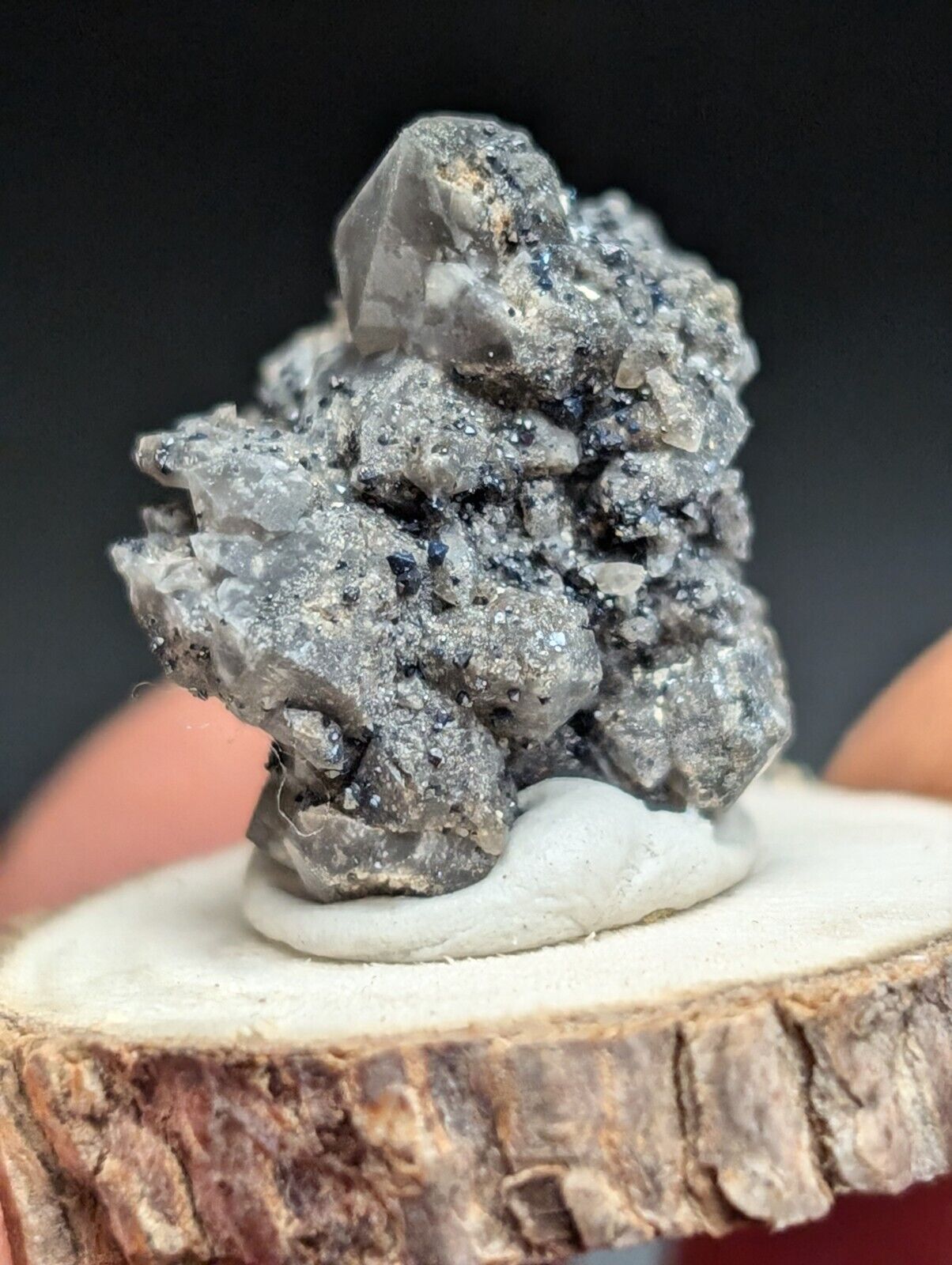 Brookite on Smoky Quartz Magnet Cove Arkansas USA Old Stock w/ wood display - Collectibles:Rocks Fossils &