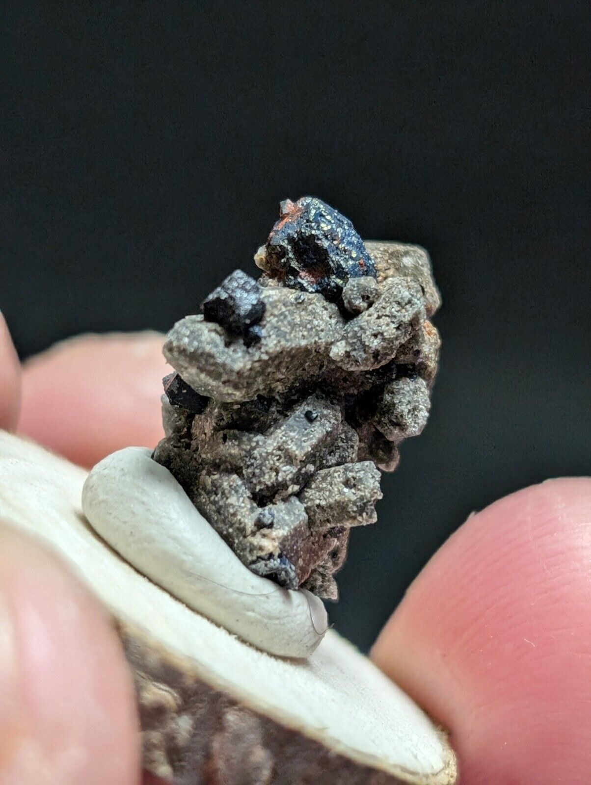Brookite on Smoky Quartz Magnet Cove Arkansas USA Old Stock w/ wood display - Collectibles:Rocks Fossils &