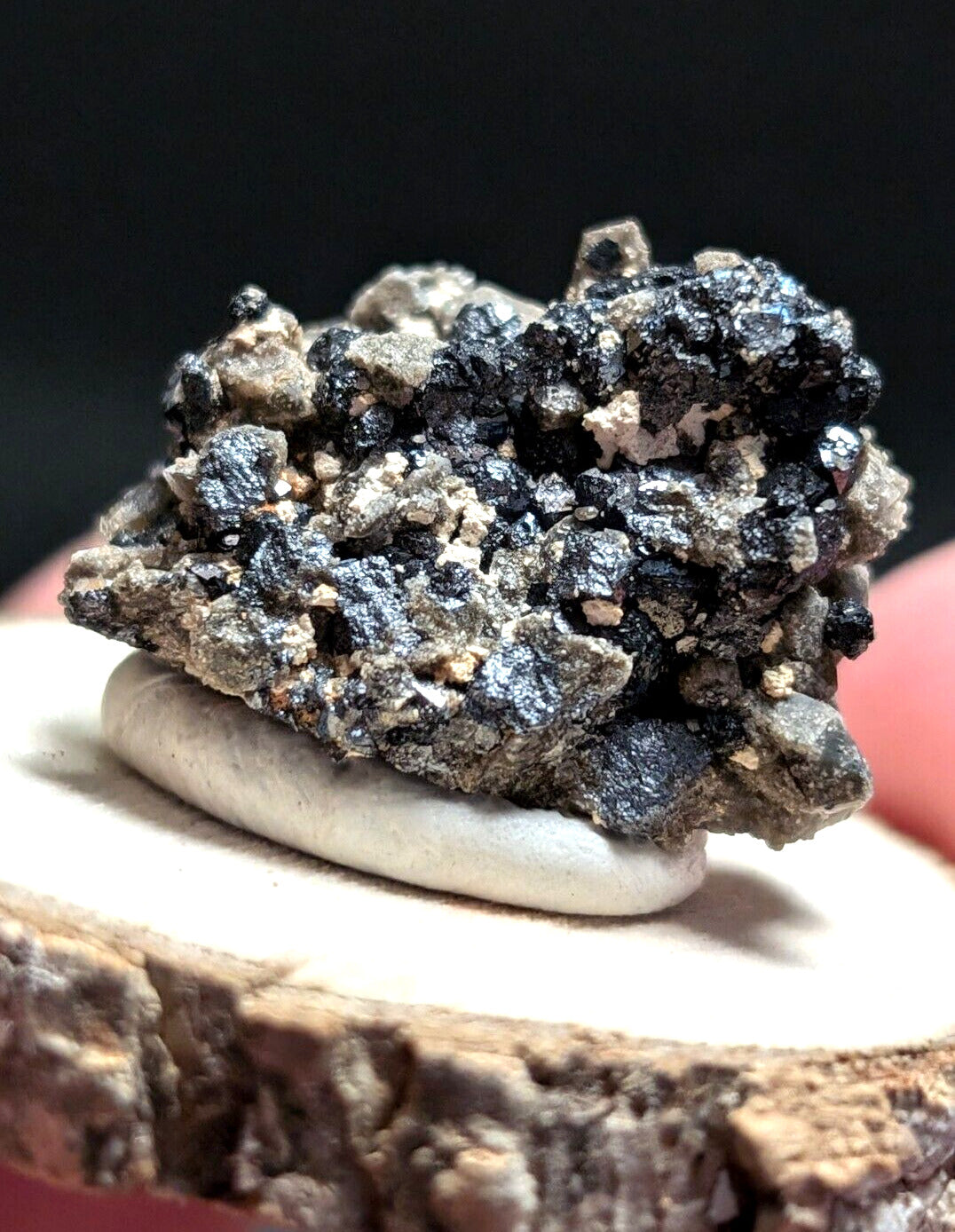 Brookite on Smoky Quartz Magnet Cove Arkansas USA Old Stock w/ wood display - Collectibles:Rocks Fossils &