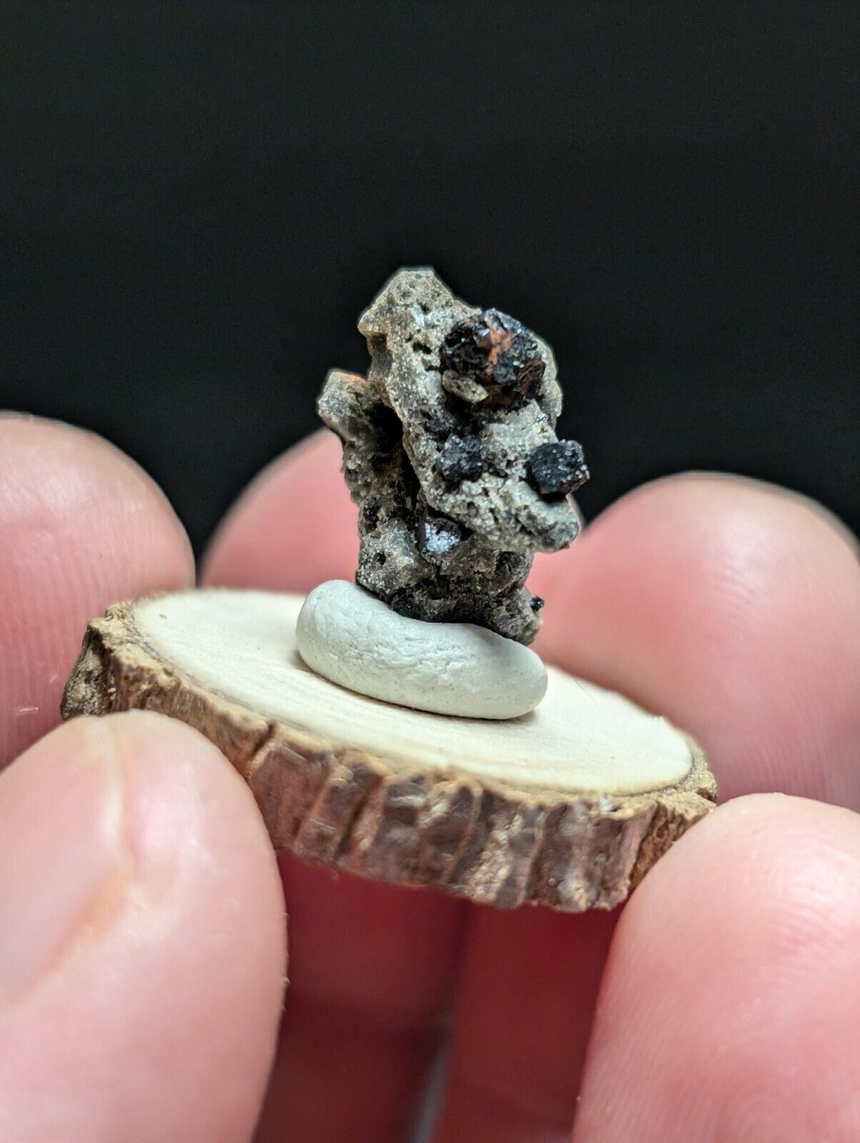 Brookite on Smoky Quartz Magnet Cove Arkansas USA Old Stock w/ wood display - Collectibles:Rocks Fossils &