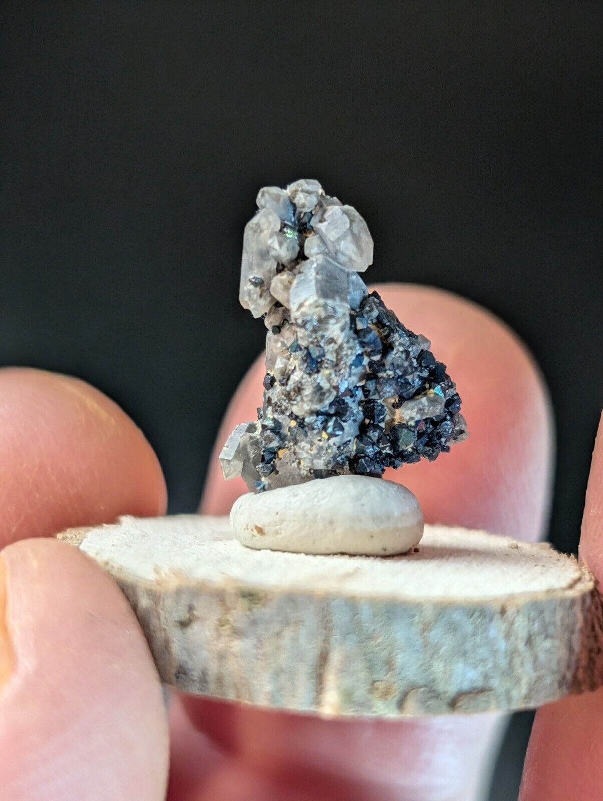Brookite on Smoky Quartz Magnet Cove Arkansas USA Old Stock w/ wood display - Collectibles:Rocks Fossils &