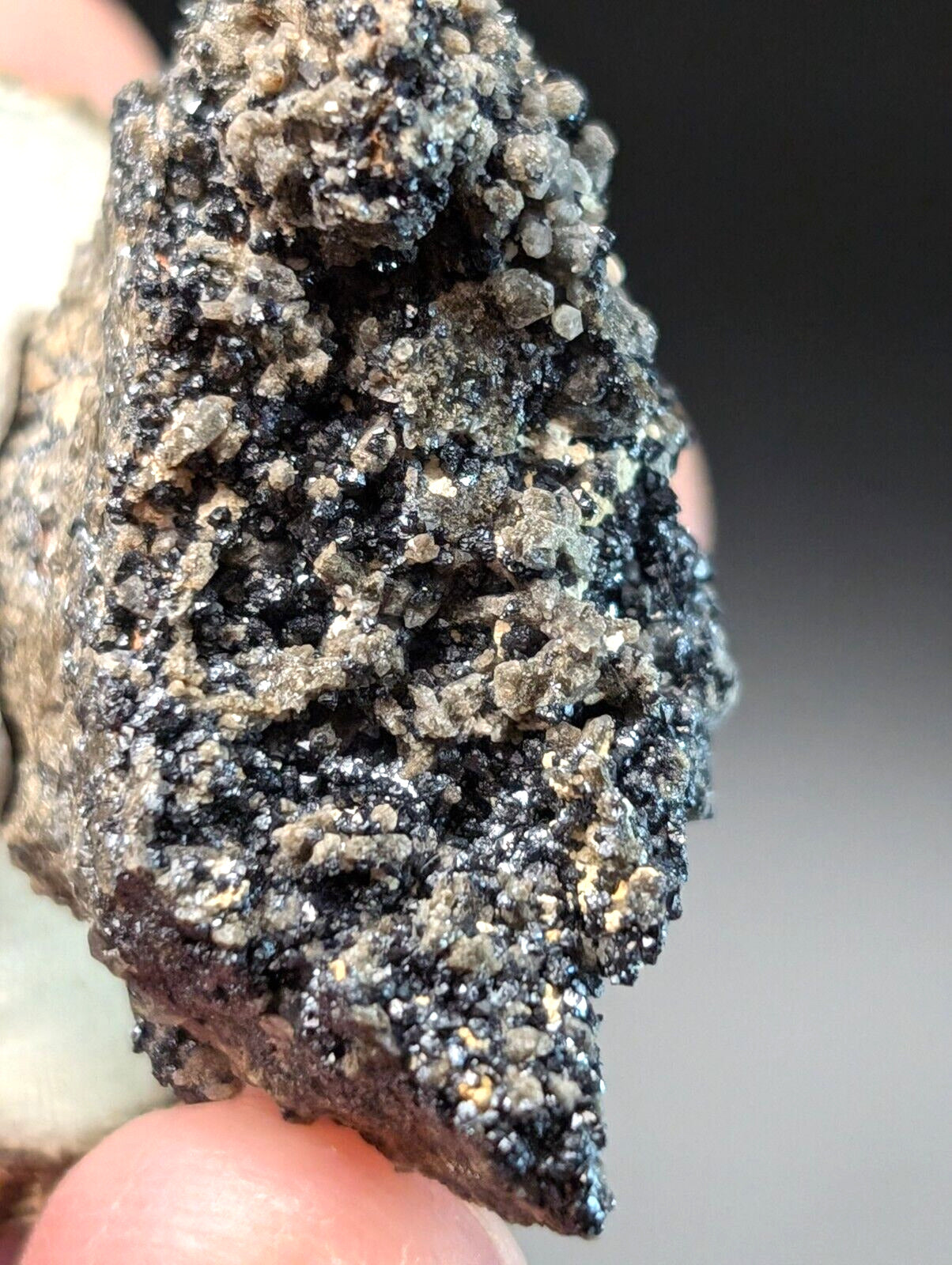 Brookite on Smoky Quartz Magnet Cove Arkansas USA Old Stock w/ wood display - Collectibles:Rocks Fossils &