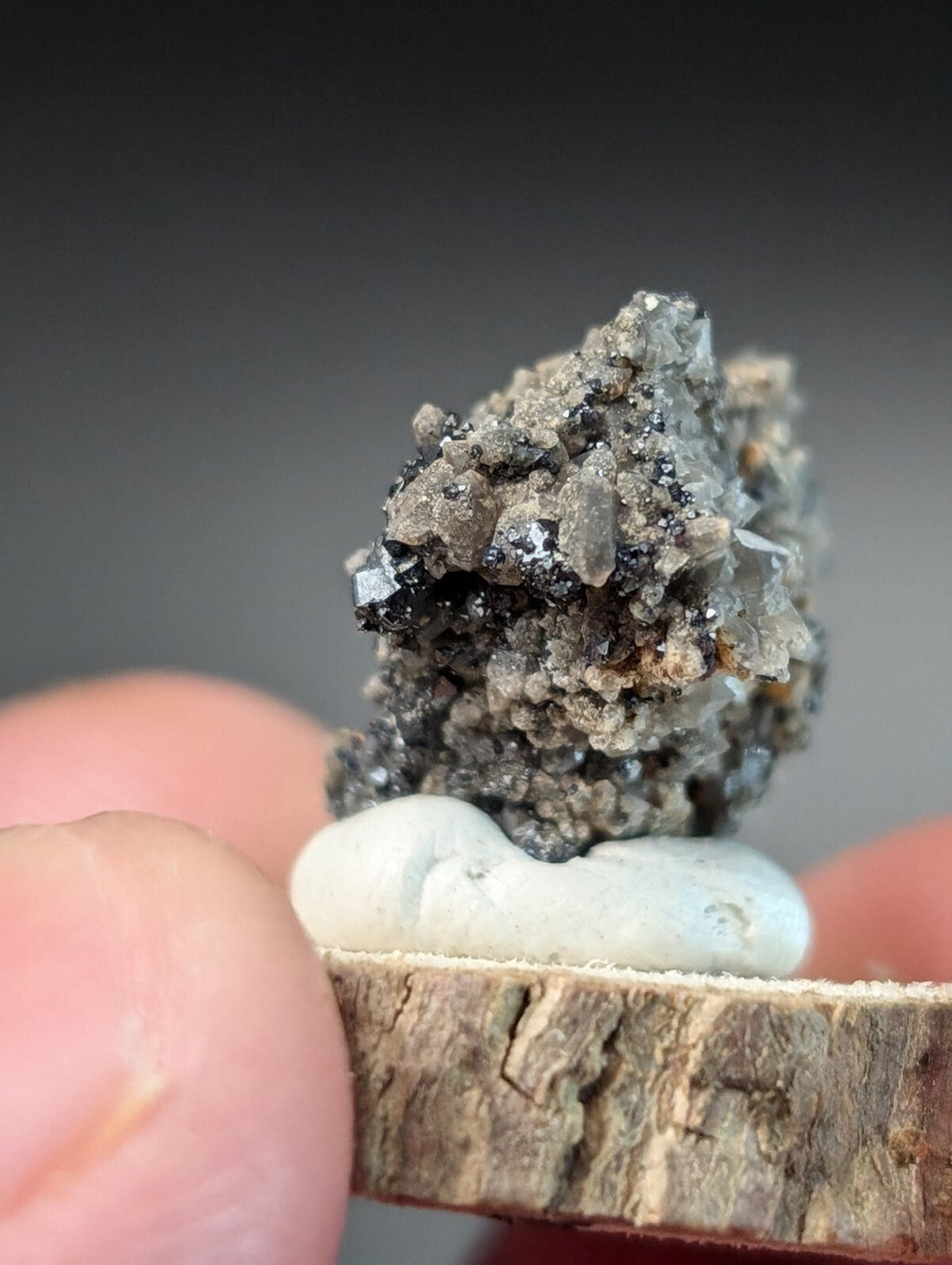 A textured gray and black mineral specimen with crystalline formations rests on a smooth white stone, displayed atop a rustic wooden slice.