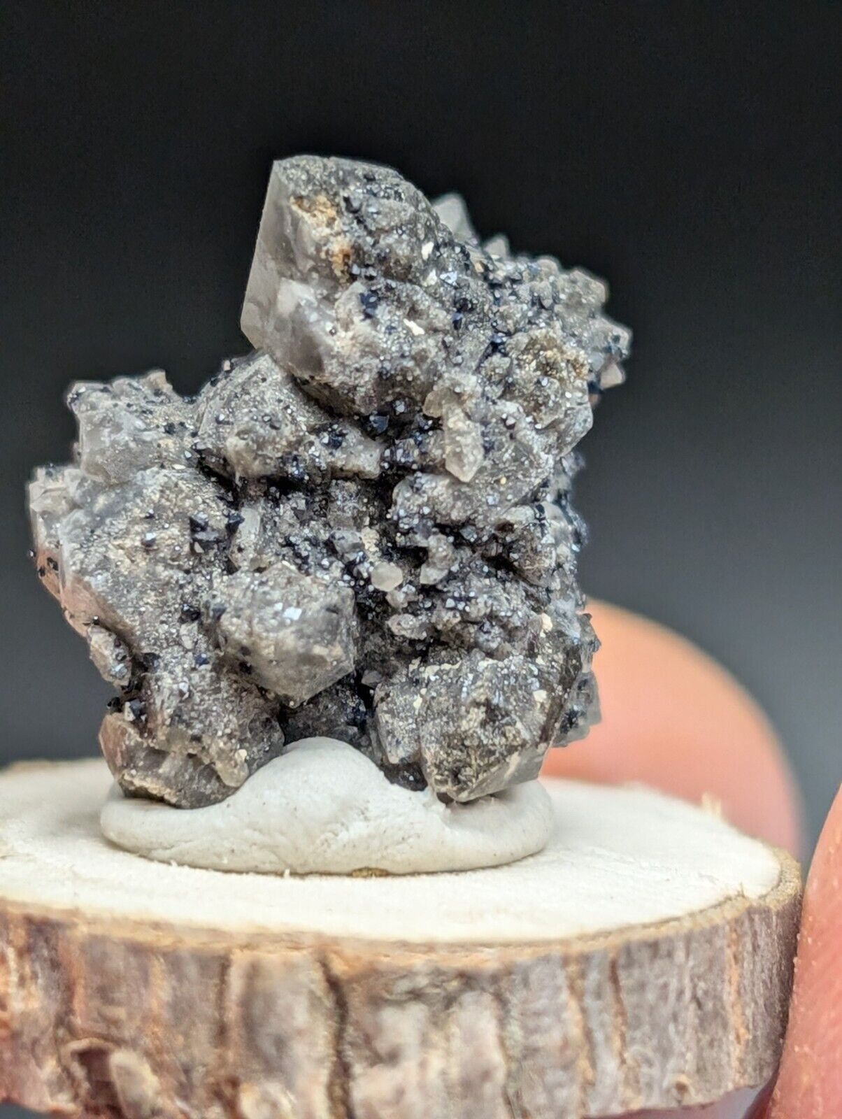 Brookite on Smoky Quartz Magnet Cove Arkansas USA Old Stock w/ wood display - Collectibles:Rocks Fossils &