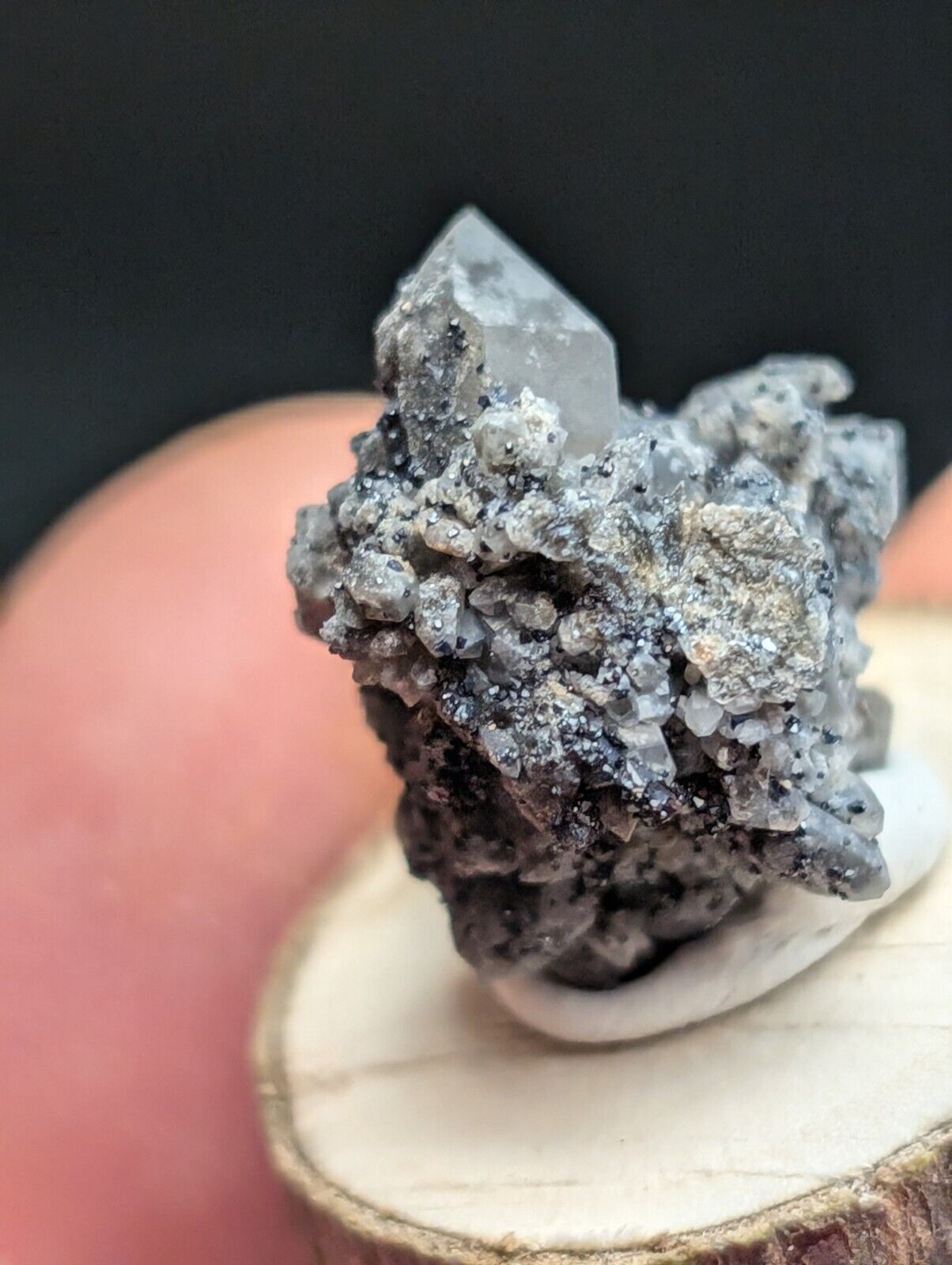 Brookite on Smoky Quartz Magnet Cove Arkansas USA Old Stock w/ wood display - Collectibles:Rocks Fossils &