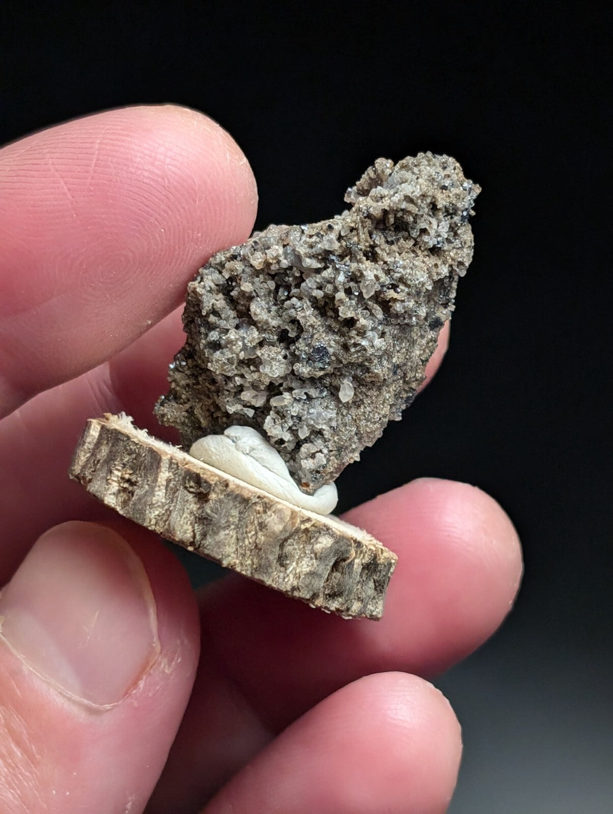A gray, textured mineral specimen with a rough, porous surface sits atop a small, circular wooden base.