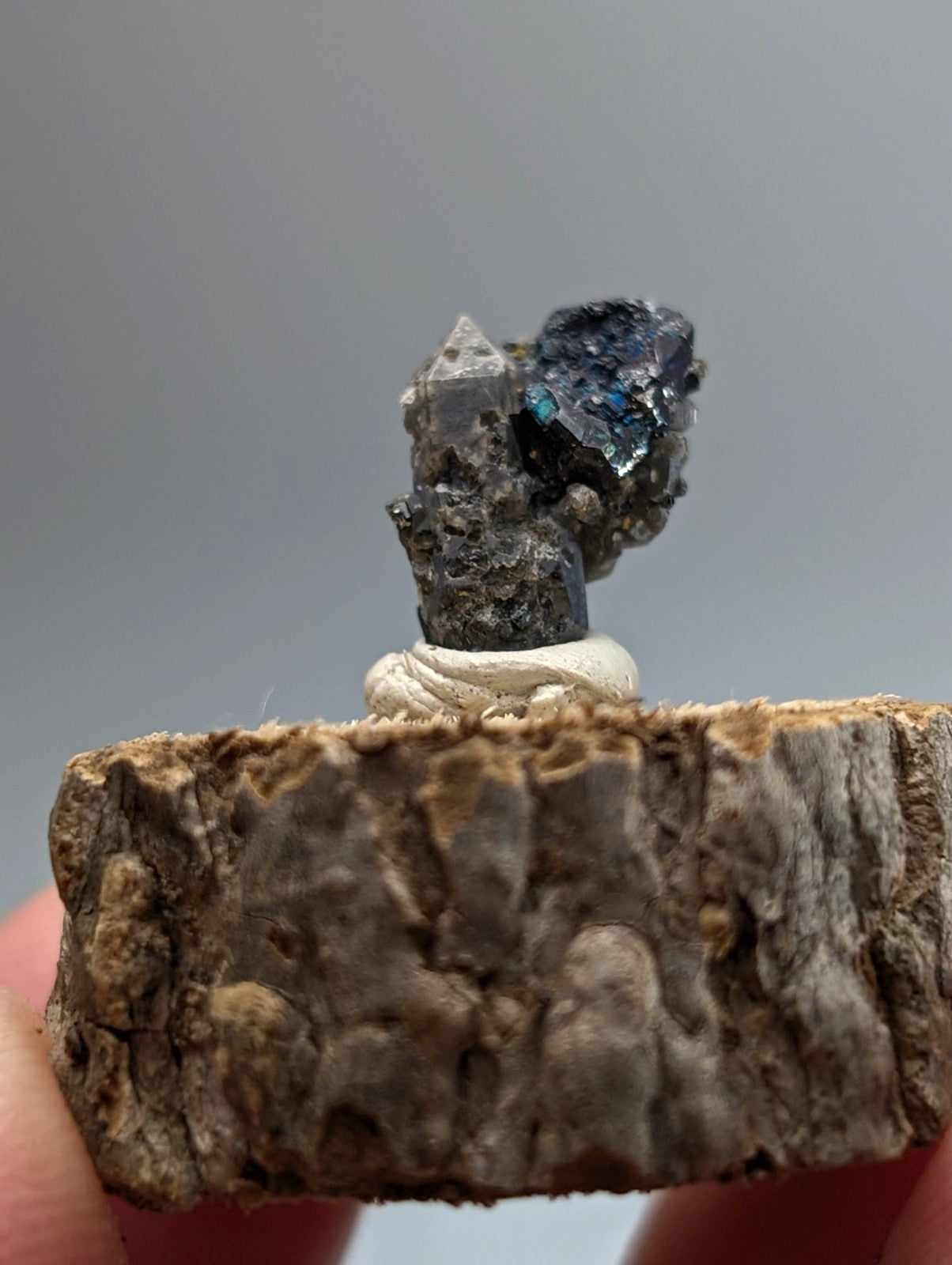 Brookite on smoky quartz mineral with blue-tinged crystal and clear quartz on wooden base from magnet cove arkansas usa