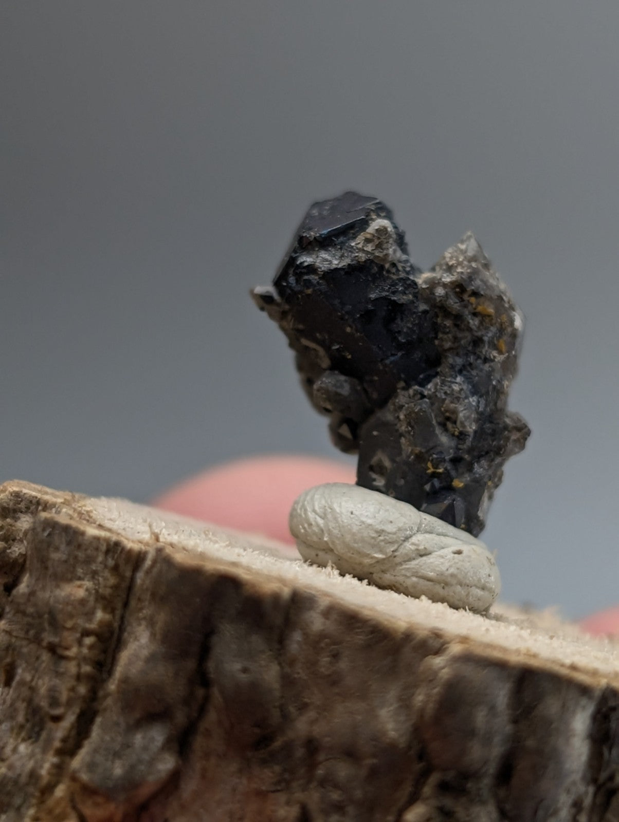 Brookite on smoky quartz mineral specimen with dark facets on rough gray matrix base displayed on wood from Arkansas