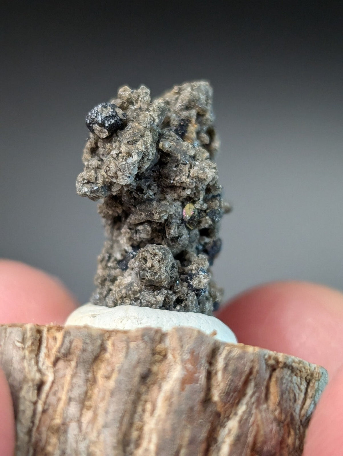 A rough, grayish-black mineral specimen with a textured, clustered surface sits atop a rustic wooden base.