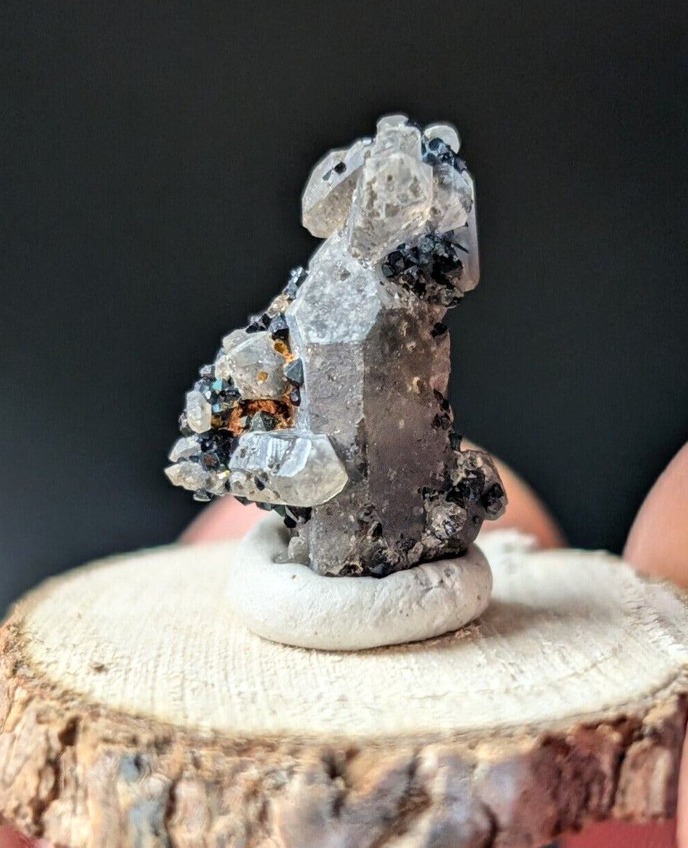 Brookite on Smoky Quartz Magnet Cove Arkansas USA Old Stock w/ wood display - Collectibles:Rocks Fossils &