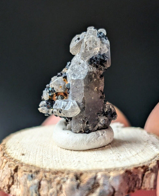 Brookite on Smoky Quartz Magnet Cove Arkansas USA Old Stock w/ wood display - Collectibles:Rocks Fossils &
