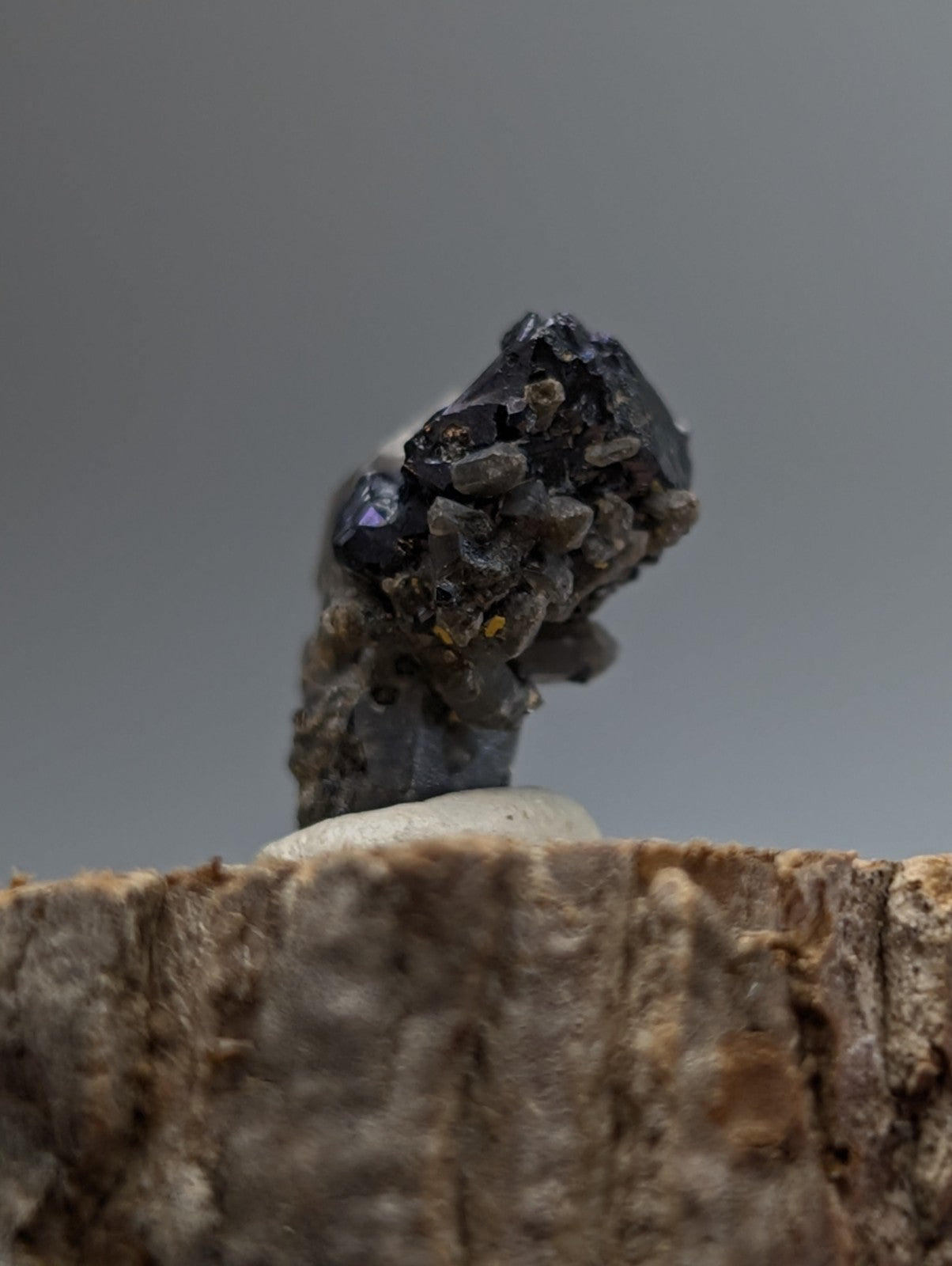 Brookite on smoky quartz dark faceted mineral with rough clustered texture and subtle purple highlights on wood display