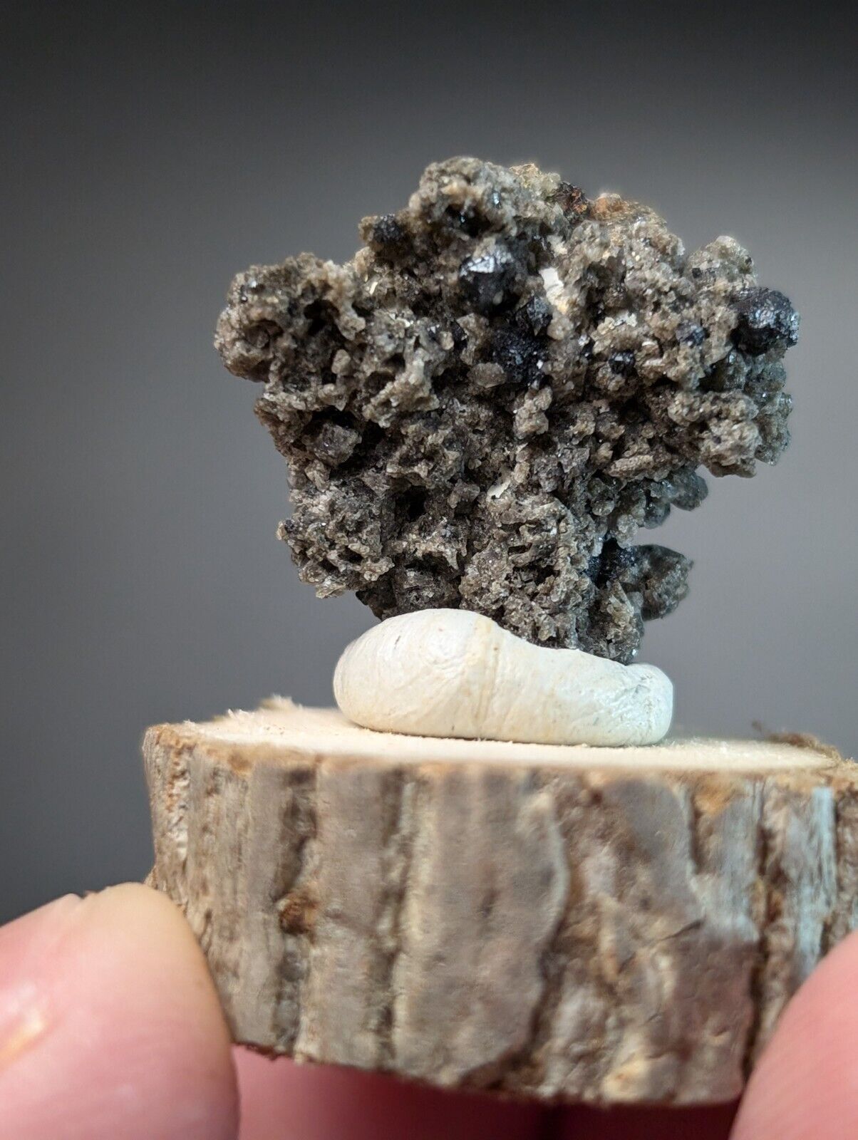 Brookite on Smoky Quartz Magnet Cove Arkansas USA Old Stock w/ wood display - Collectibles:Rocks Fossils &