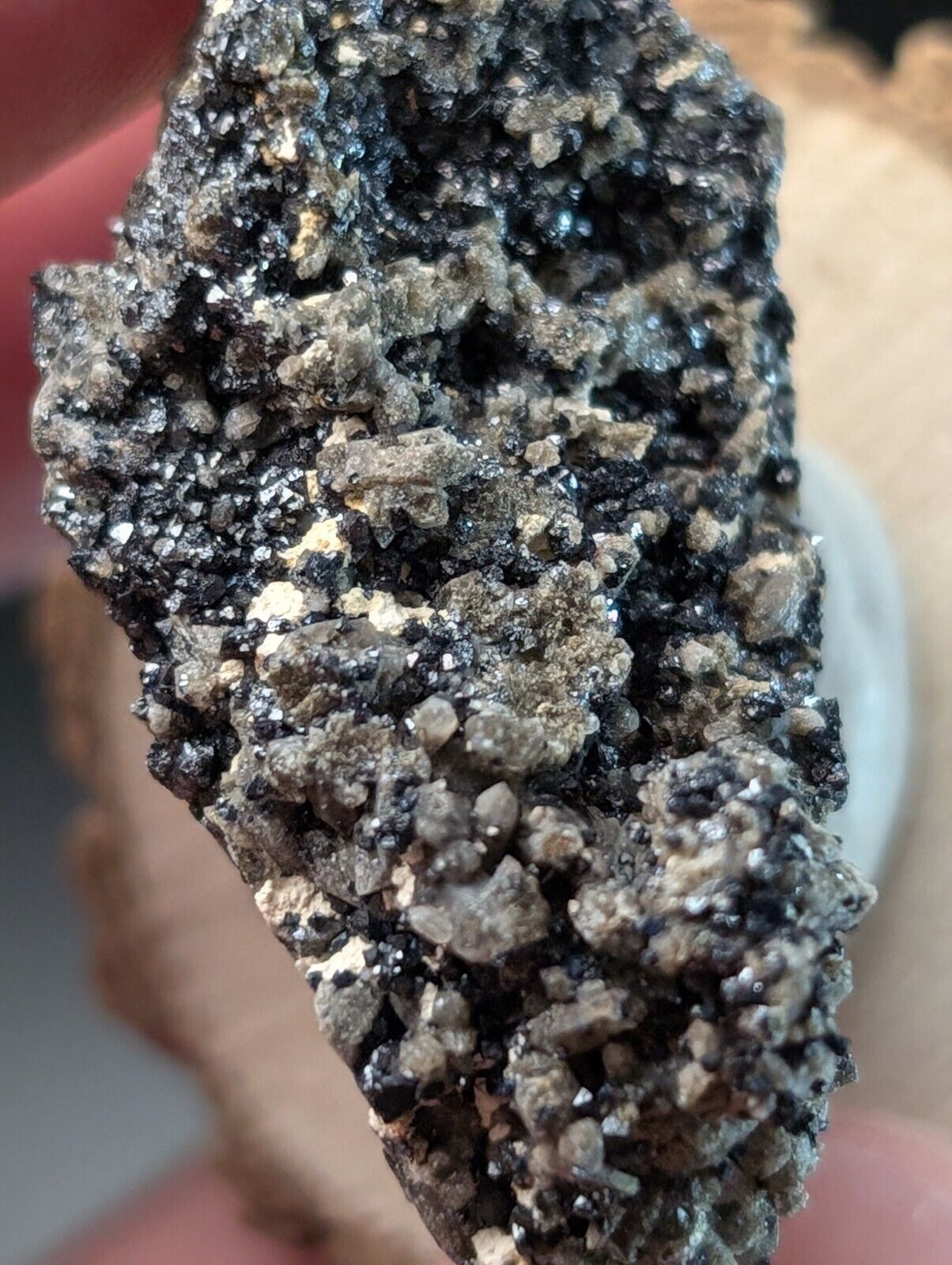 Brookite on Smoky Quartz Magnet Cove Arkansas USA Old Stock w/ wood display - Collectibles:Rocks Fossils &