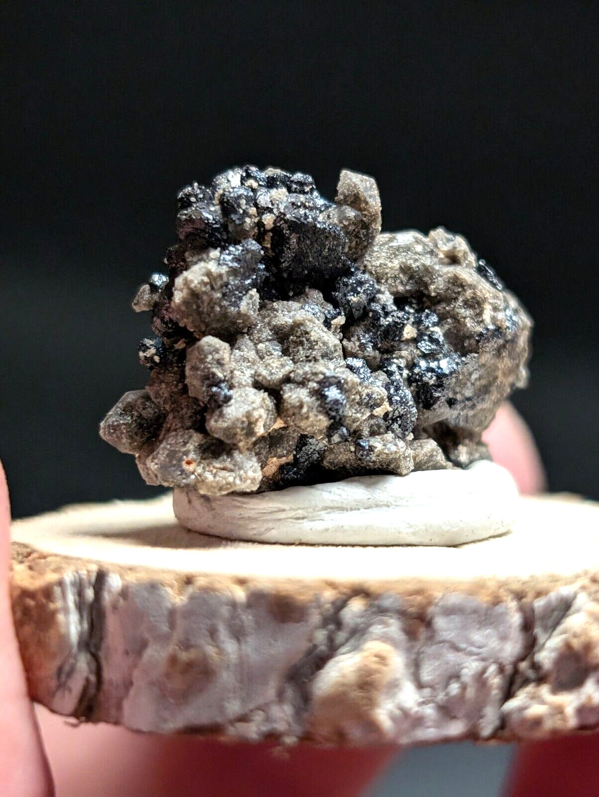 Brookite on Smoky Quartz Magnet Cove Arkansas USA Old Stock w/ wood display - Collectibles:Rocks Fossils &