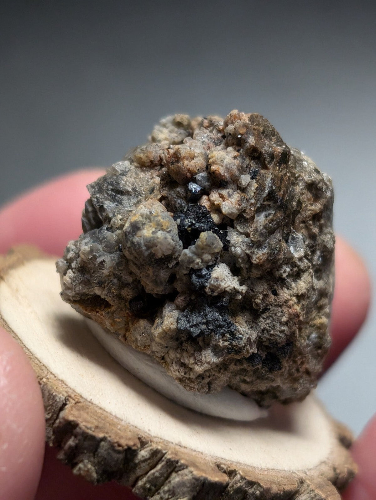 A rugged, irregularly shaped mineral specimen with a mix of gray, brown, and dark black patches, resting on a circular wooden slice.