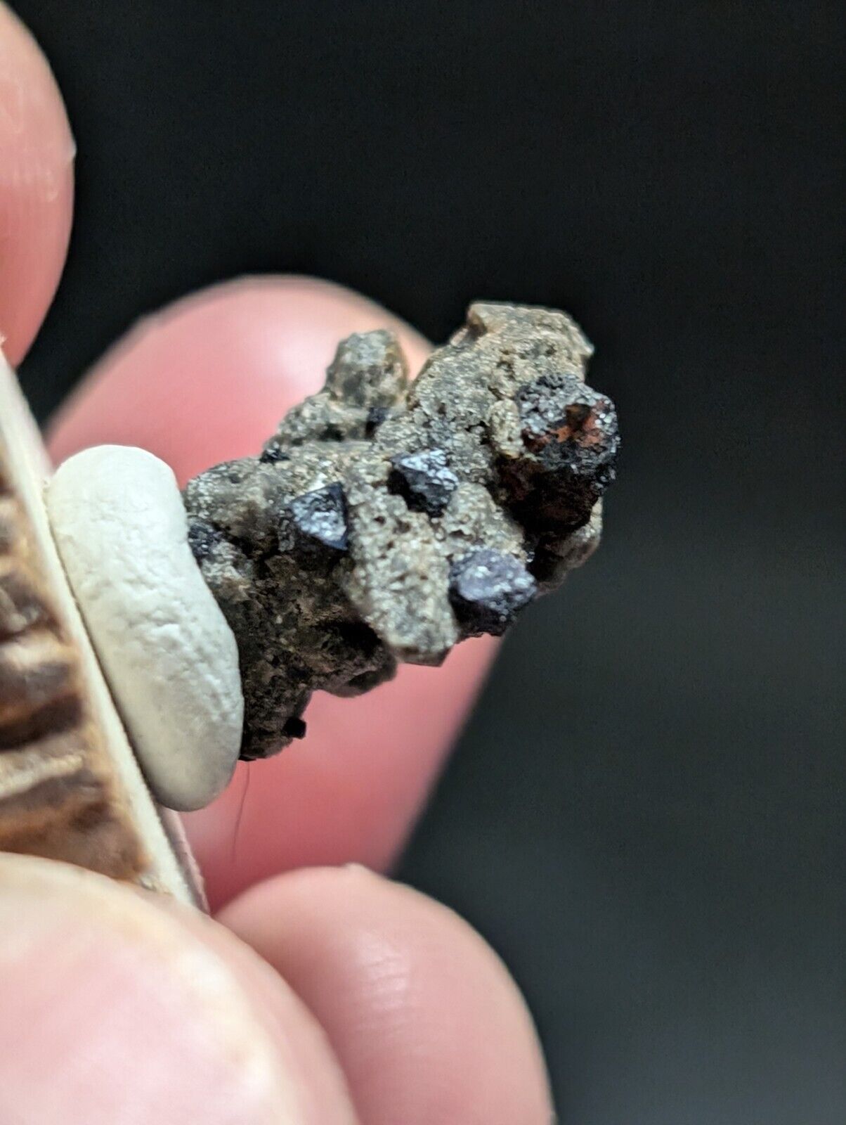Brookite on Smoky Quartz Magnet Cove Arkansas USA Old Stock w/ wood display - Collectibles:Rocks Fossils &