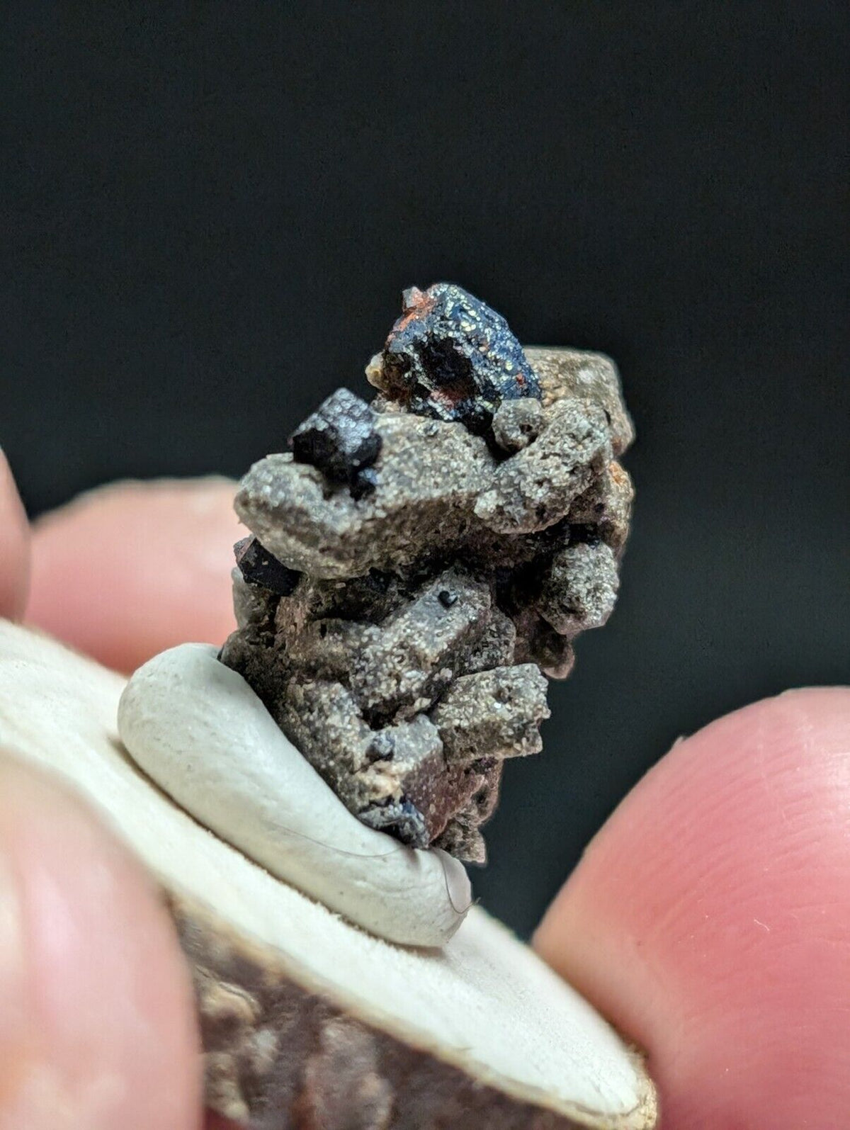 Brookite on Smoky Quartz Magnet Cove Arkansas USA Old Stock w/ wood display - Collectibles:Rocks Fossils &