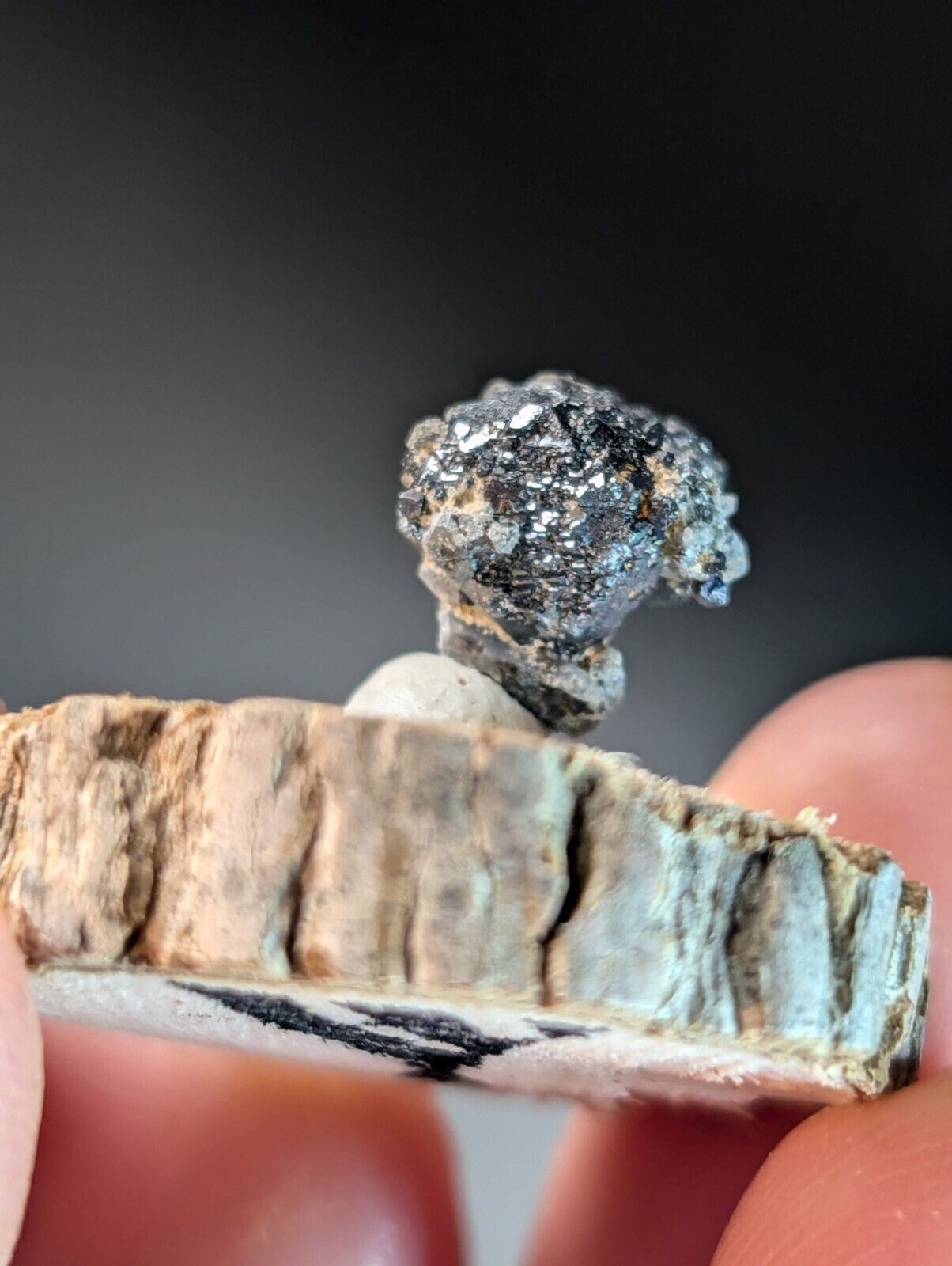 Brookite on Smoky Quartz Magnet Cove Arkansas USA Old Stock w/ wood display - Collectibles:Rocks Fossils &