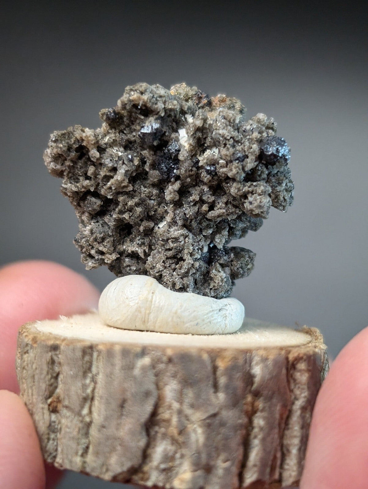 A textured, dark gray and black mineral specimen with embedded blue crystals rests atop a smooth white ceramic piece on a rustic wooden slice.