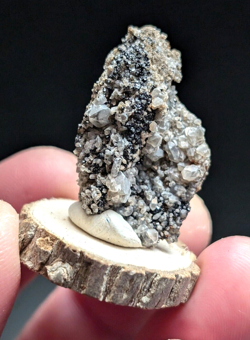 A striking gray and black mineral specimen with crystalline formations, displayed on a rustic wooden slice base.