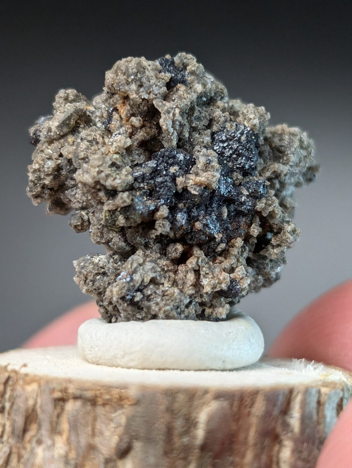 A textured, gray and black mineral specimen with a rough, clustered surface sits atop a small white circular base.