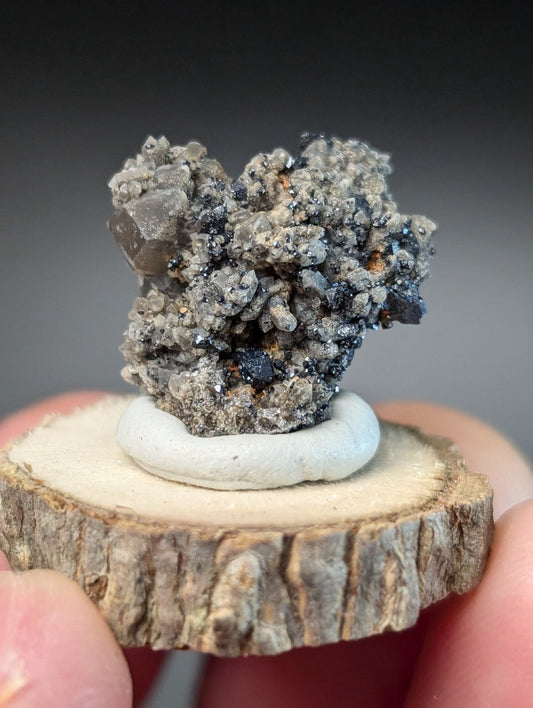 A gray and black mineral specimen with crystalline formations, displayed on a circular white base atop a rustic wooden slice.