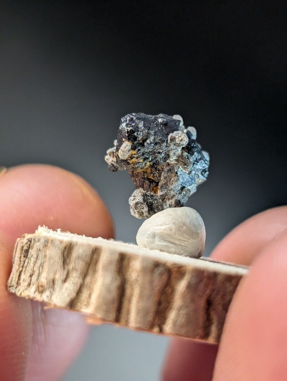 Brookite on Smoky Quartz Magnet Cove Arkansas USA Old Stock w/ wood display - Collectibles:Rocks Fossils &