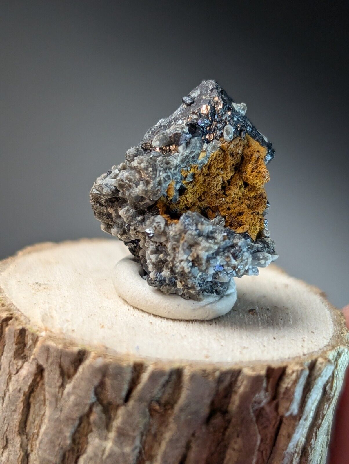 Brookite on Smoky Quartz Magnet Cove Arkansas USA Old Stock w/ wood display - Collectibles:Rocks Fossils &