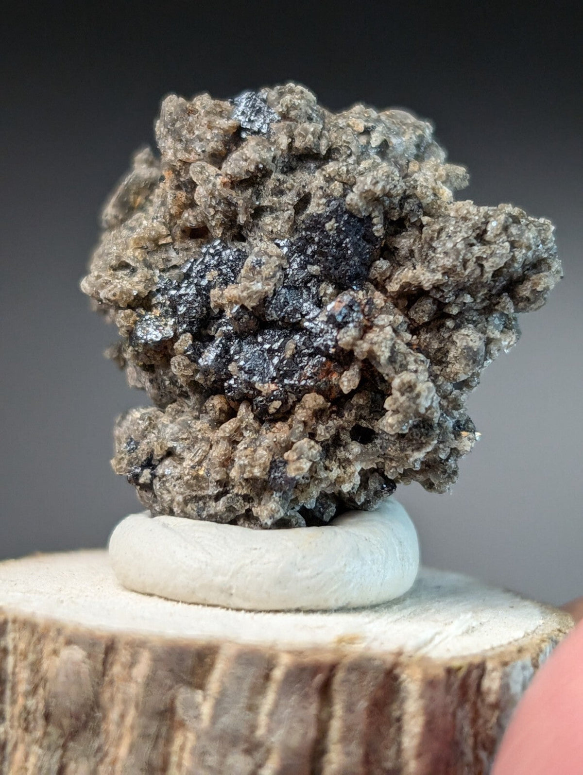 A textured, grayish-brown mineral specimen with dark, metallic-looking inclusions sits atop a smooth white circular base.
