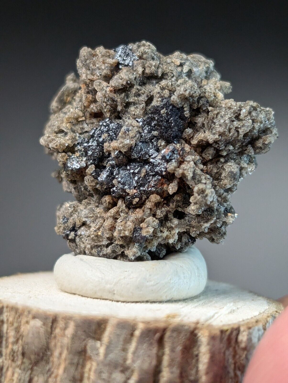 Brookite on Smoky Quartz Magnet Cove Arkansas USA Old Stock w/ wood display - Collectibles:Rocks Fossils &