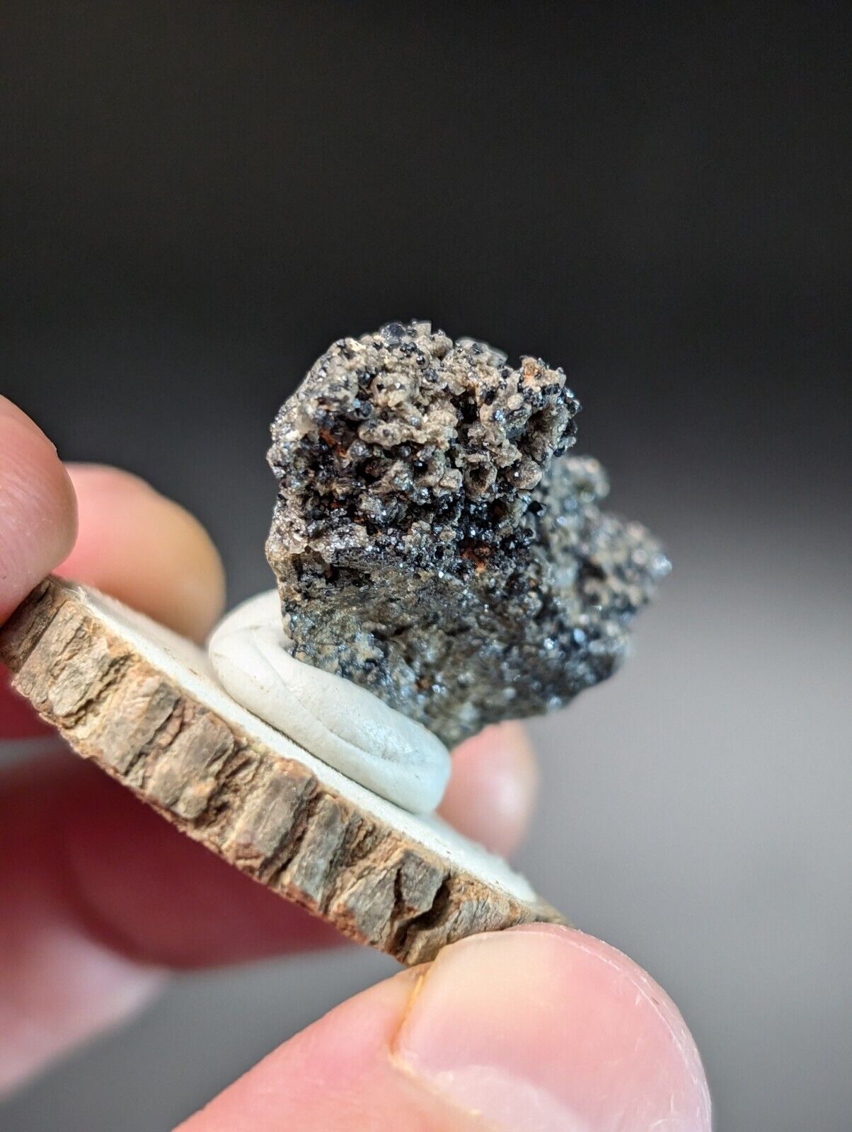 Brookite on Smoky Quartz Magnet Cove Arkansas USA Old Stock w/ wood display - Collectibles:Rocks Fossils &