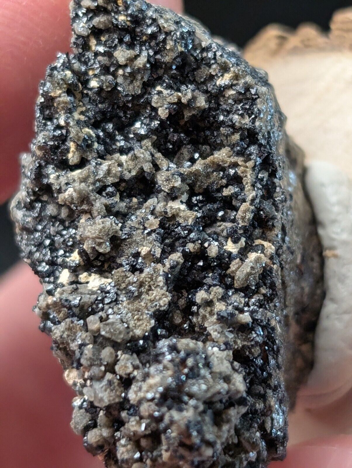Brookite on Smoky Quartz Magnet Cove Arkansas USA Old Stock w/ wood display - Collectibles:Rocks Fossils &