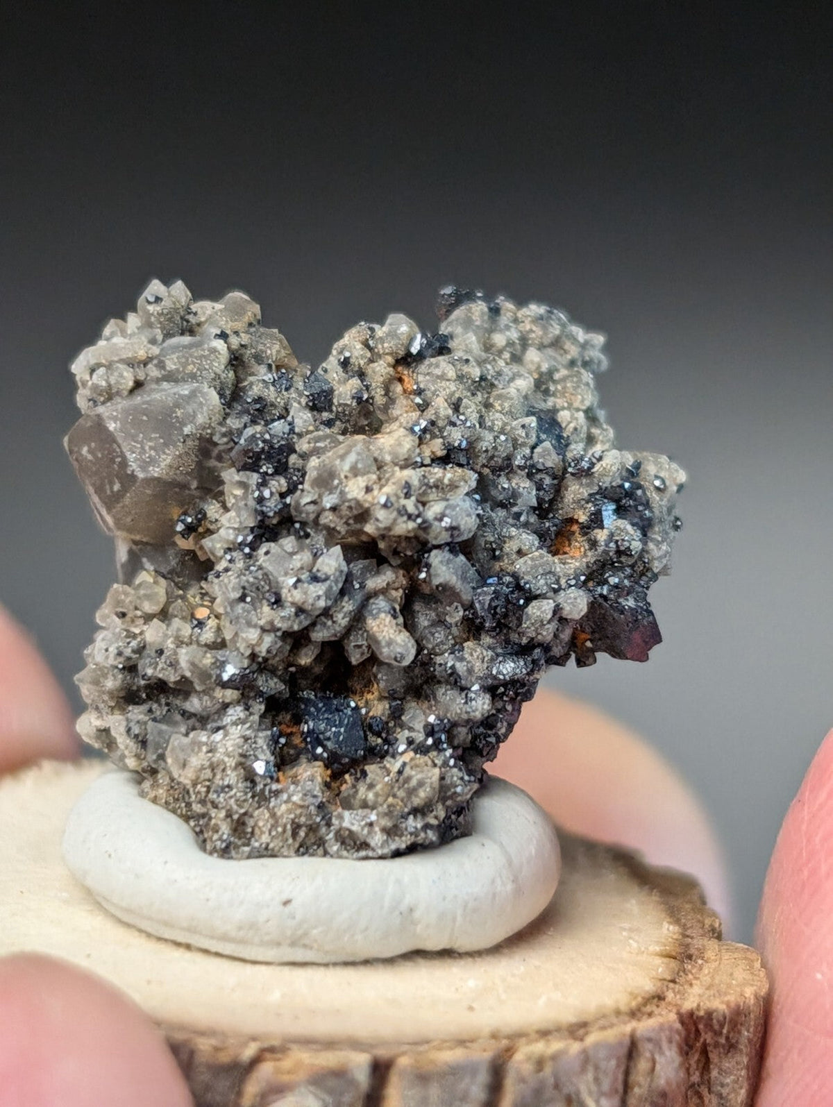 A textured, gray and black mineral specimen with crystalline formations rests on a small white ceramic base.