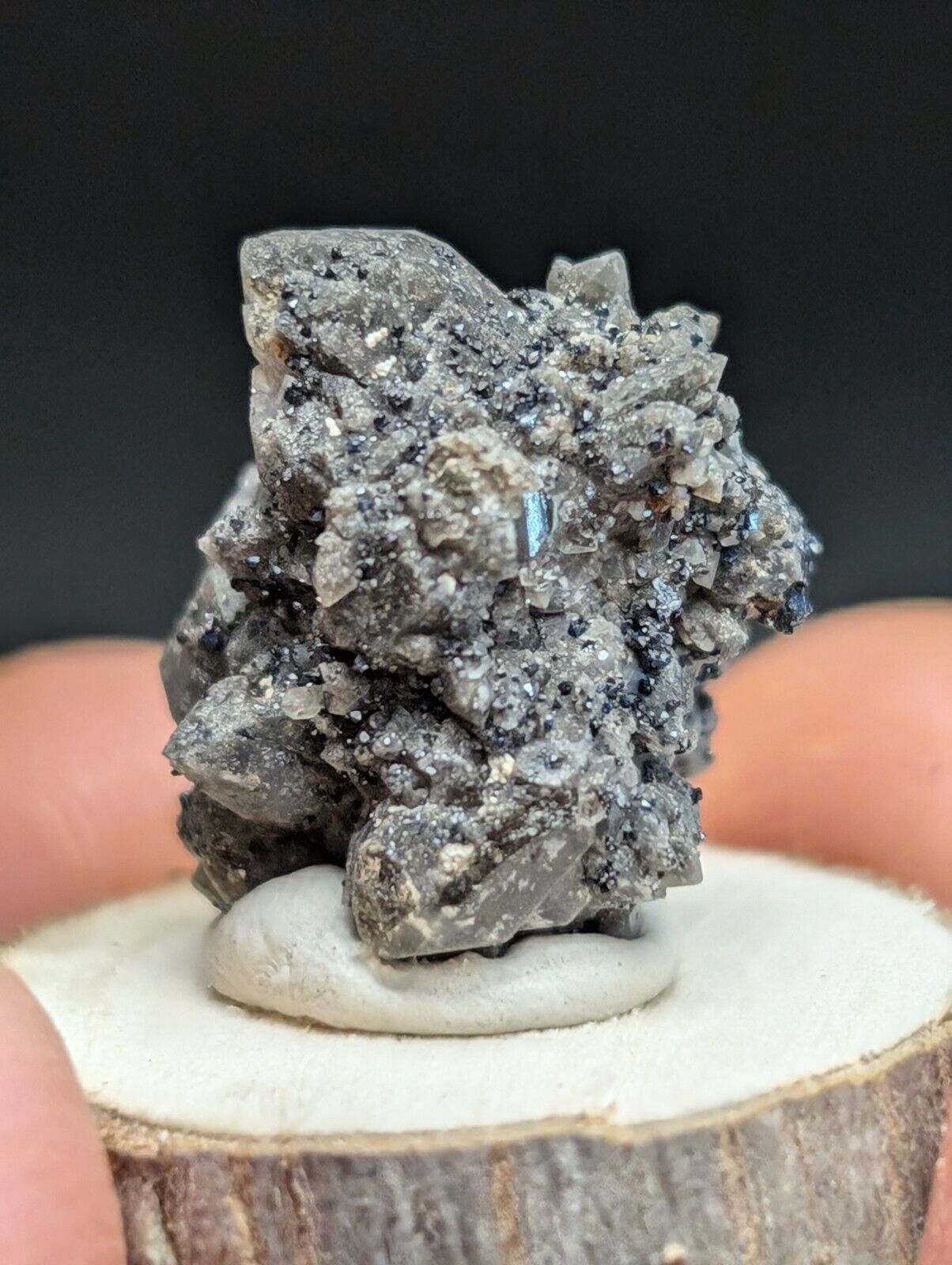 Brookite on Smoky Quartz Magnet Cove Arkansas USA Old Stock w/ wood display - Collectibles:Rocks Fossils &