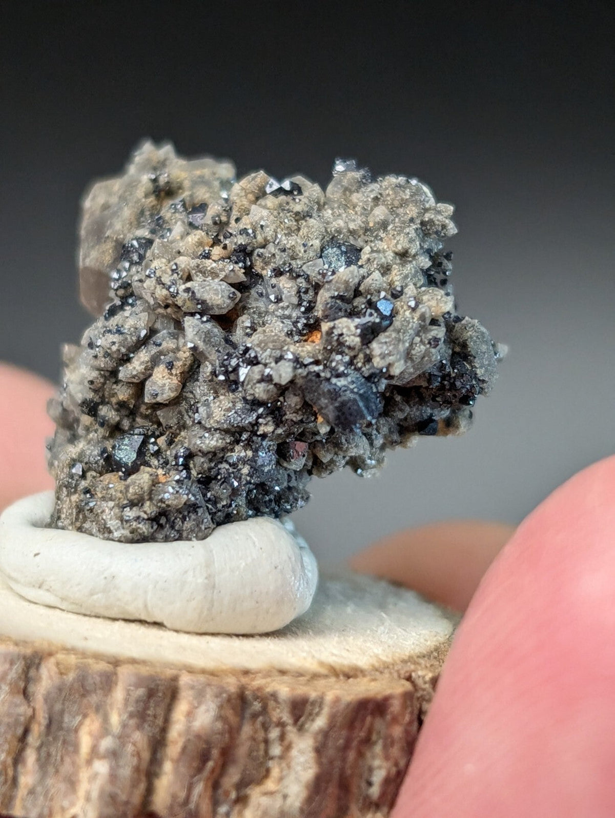 A textured gray and black mineral specimen with sparkling crystalline formations, displayed on a rustic wooden base.