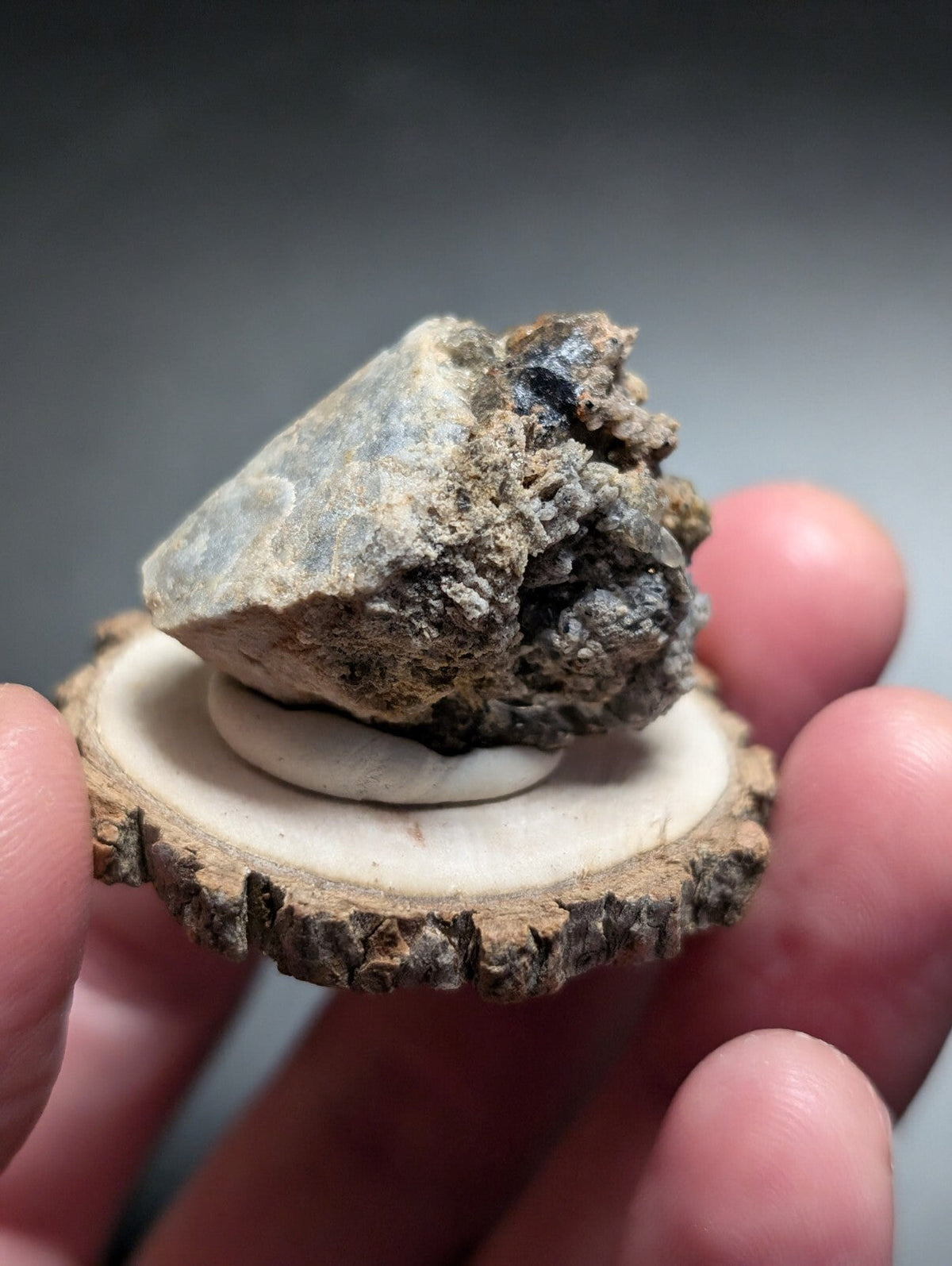 A rough, grayish-blue mineral specimen with a jagged surface and dark inclusions rests on a circular wooden slice.