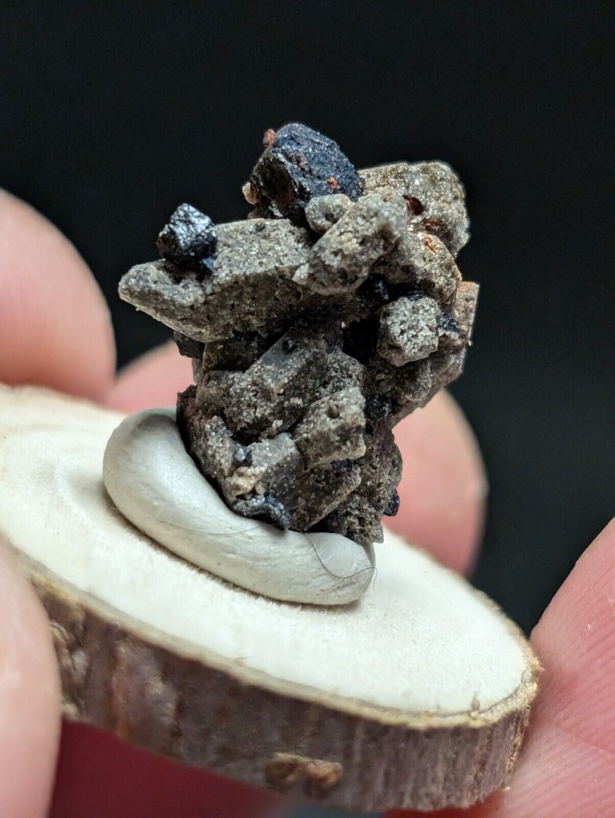 Brookite on Smoky Quartz Magnet Cove Arkansas USA Old Stock w/ wood display - Collectibles:Rocks Fossils &
