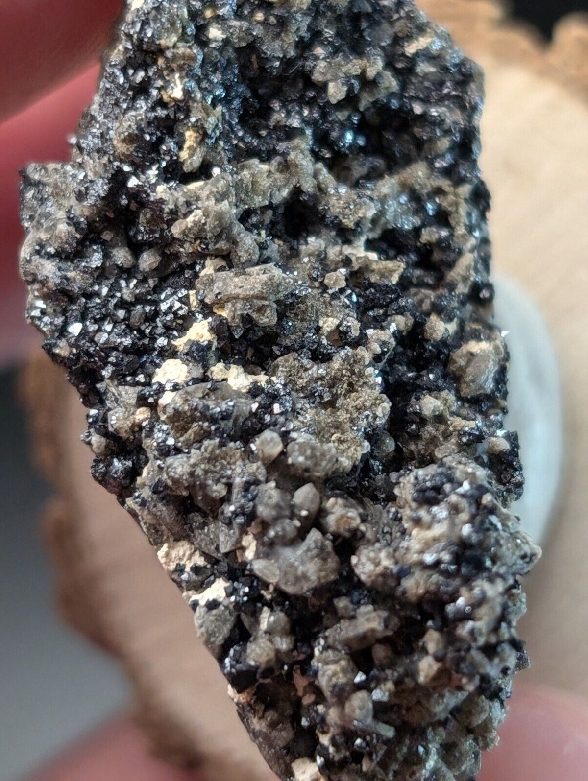 Brookite on Smoky Quartz Magnet Cove Arkansas USA Old Stock w/ wood display - Collectibles:Rocks Fossils &